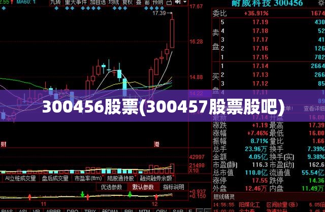 300456股票(300457股票股吧)