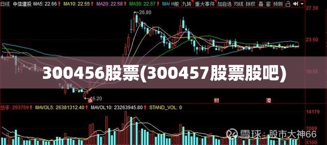 300456股票(300457股票股吧)