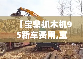 【宝鼎抓木机95新车费用,宝鼎抓木机95新车费用图片】