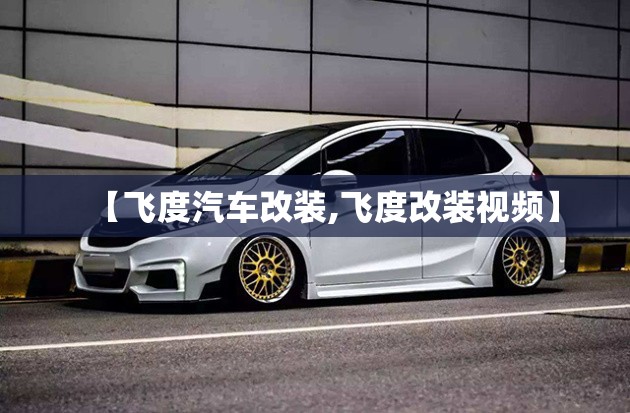 【飞度汽车改装,飞度改装视频】