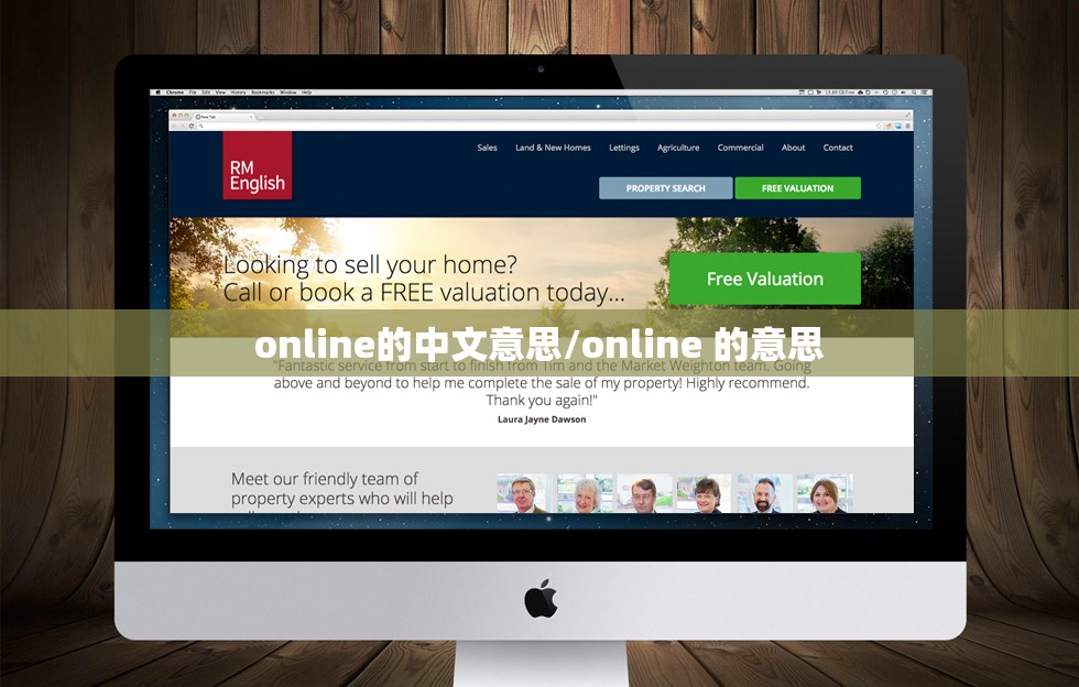 online的中文意思/online 的意思 online的中文意思/online 的意思