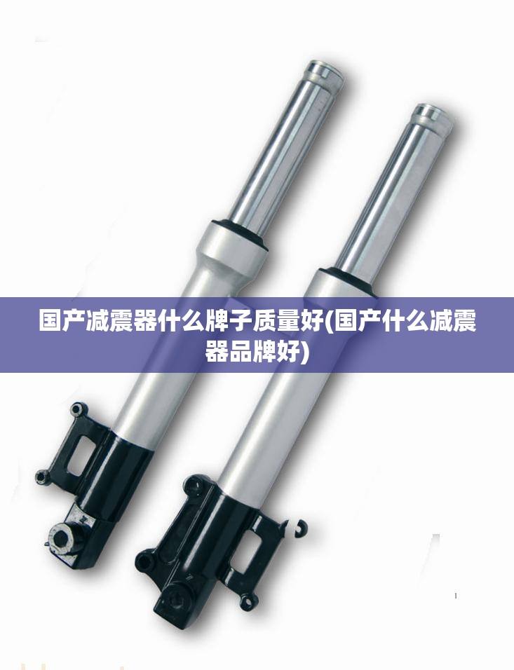 国产减震器什么牌子质量好(国产什么减震器品牌好)