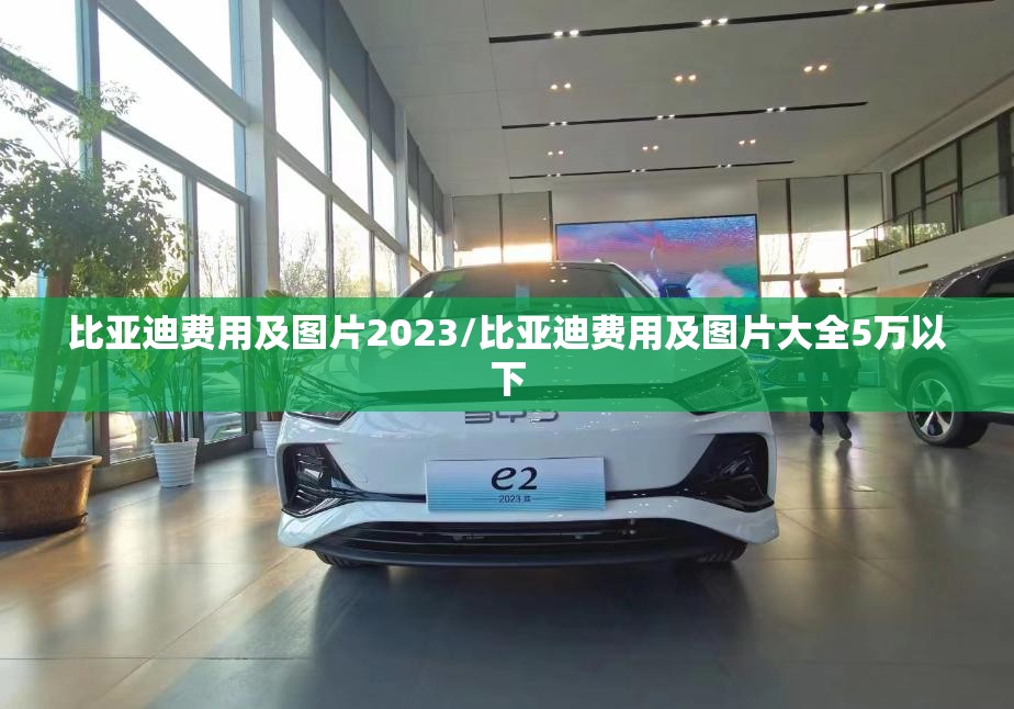 比亚迪费用及图片2023/比亚迪费用及图片大全5万以下 比亚迪费用及图片2023/比亚迪费用及图片大全5万以下