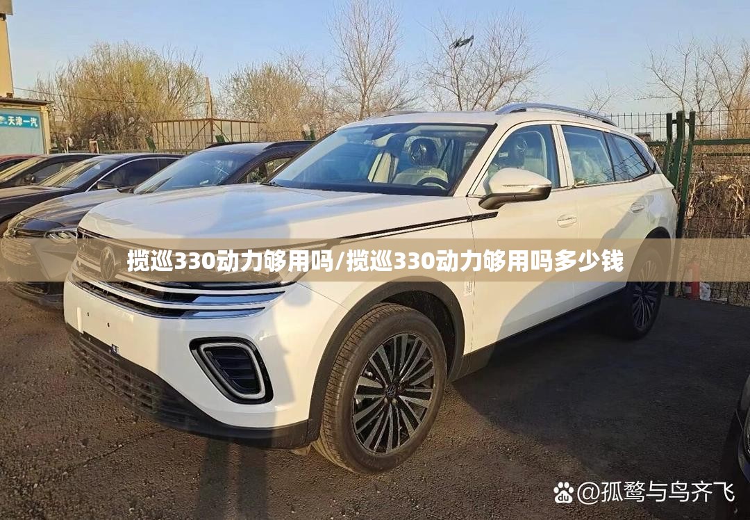 揽巡330动力够用吗/揽巡330动力够用吗多少钱