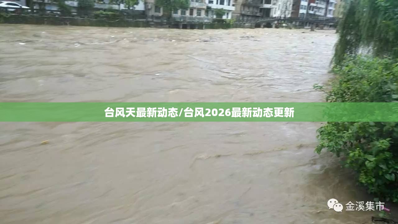 台风天最新动态/台风2026最新动态更新