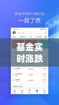 基金实时涨跌app/基金实时行情app