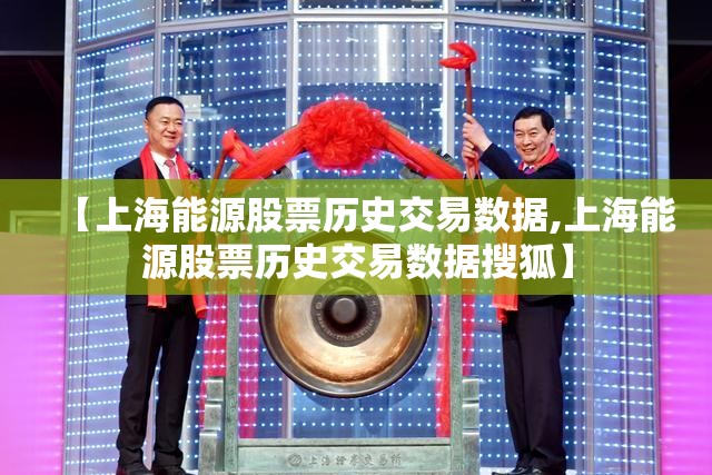 【上海能源股票历史交易数据,上海能源股票历史交易数据搜狐】