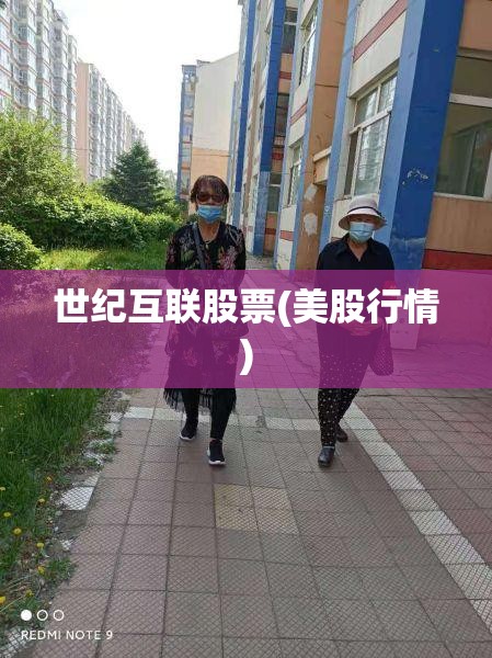 世纪互联股票(美股行情)
