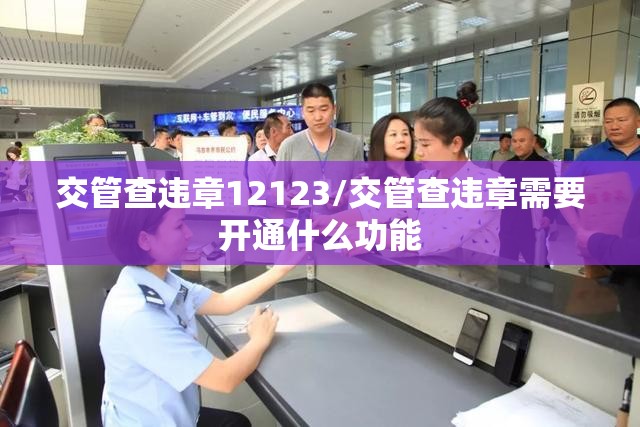 交管查违章12123/交管查违章需要开通什么功能