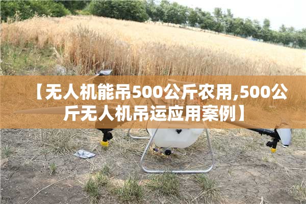 【无人机能吊500公斤农用,500公斤无人机吊运应用案例】