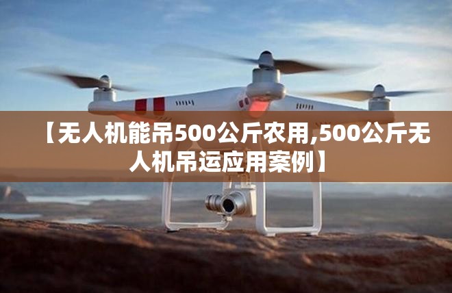 【无人机能吊500公斤农用,500公斤无人机吊运应用案例】