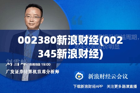 002380新浪财经(002345新浪财经)