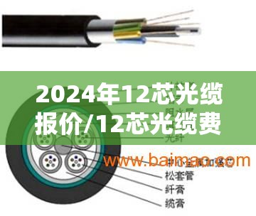 2024年12芯光缆报价/12芯光缆费用每米多少钱