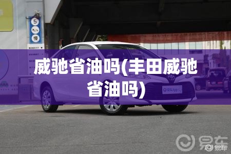 威驰省油吗(丰田威驰省油吗) 威驰省油吗(丰田威驰省油吗)