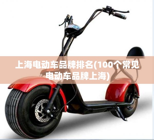 上海电动车品牌排名(100个常见电动车品牌上海)