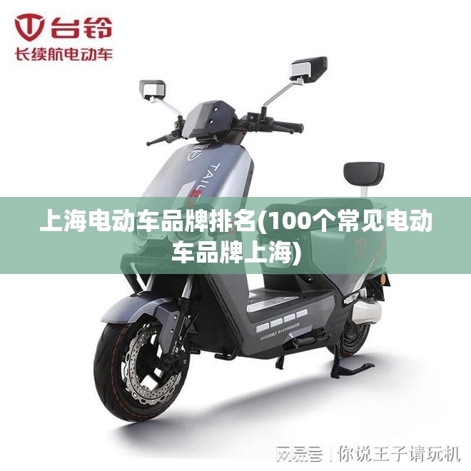 上海电动车品牌排名(100个常见电动车品牌上海)