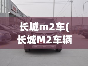 长城m2车(长城M2车辆外检时让拆除车顶横杆)