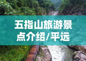五指山旅游景点介绍/平远五指山旅游景点介绍