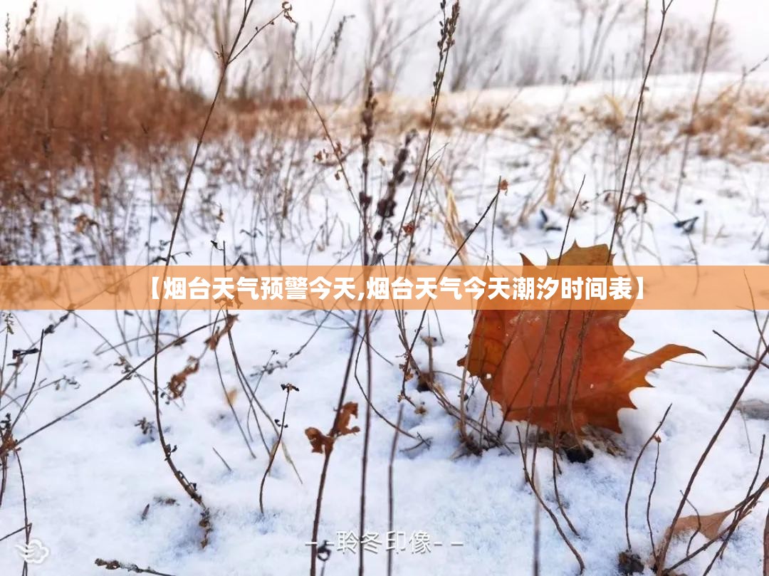 【烟台天气预警今天,烟台天气今天潮汐时间表】